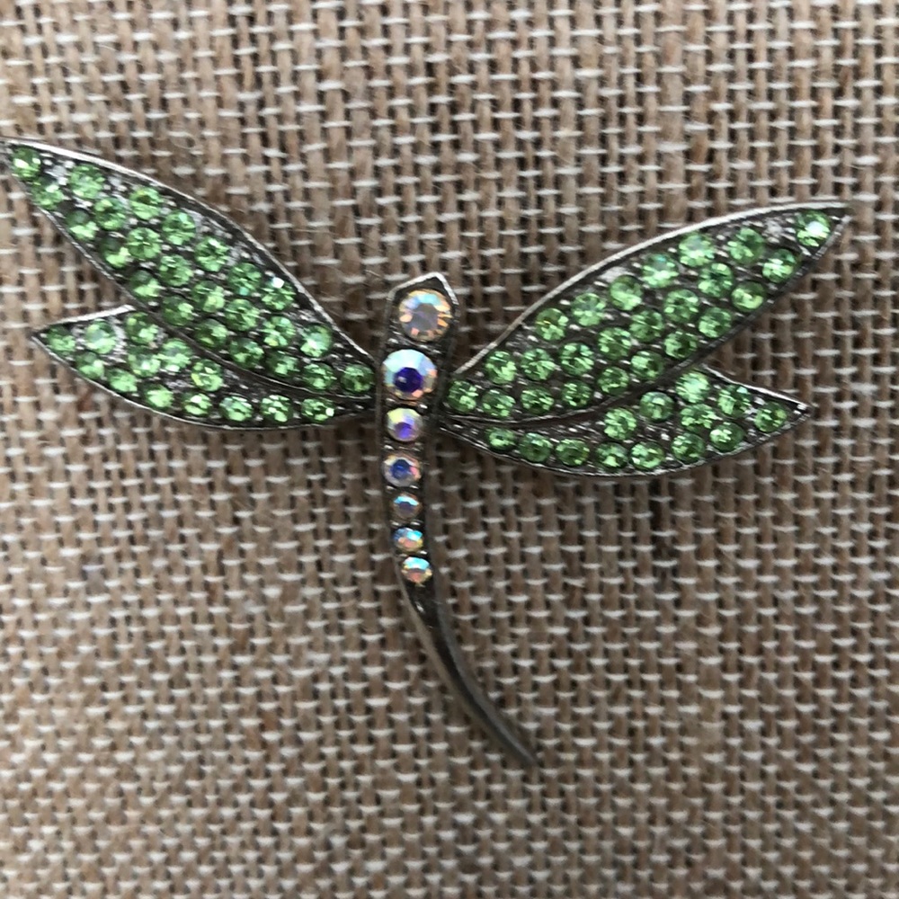 Dragonfly Brooch